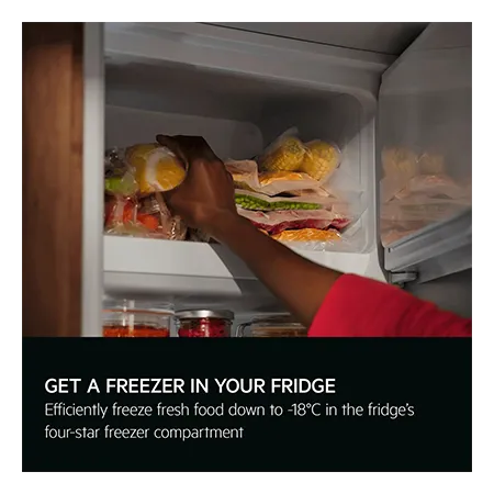 AEG NSF6I82EF Built under  Fridge with Ice Box, Fixed Hinge