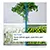 BOSCH KGN33NLEBG Freestanding Total NoFrost 60/40 Fridge Freezer in Stainless Steel colour