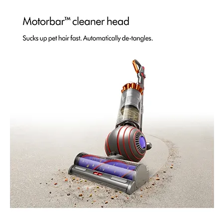 Dyson BALLANIMALMF2 Ball Animal Multi-Floor