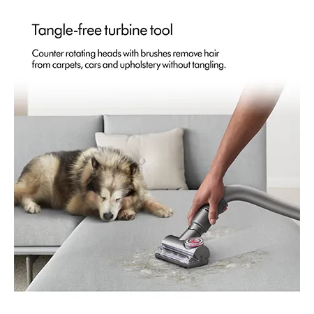 Dyson BALLANIMALMF2 Ball Animal Multi-Floor