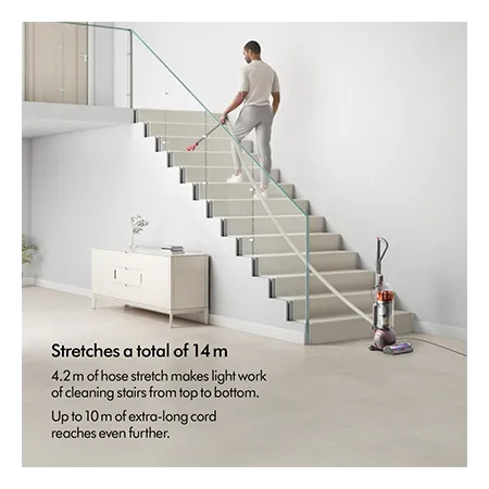 Dyson BALLANIMALMF2 Ball Animal Multi-Floor
