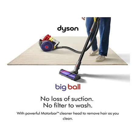 Dyson BIGBALLANIMAL2 Dyson BIGBALLANIMAL2 Vacuum Cleaner- Iron/Sprayed Satin Purple/Iron