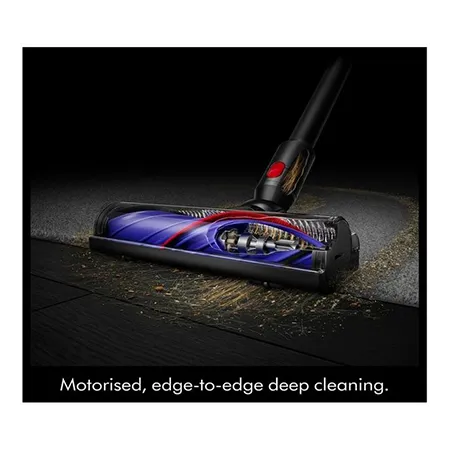 Dyson BIGBALLANIMAL2 Dyson BIGBALLANIMAL2 Vacuum Cleaner- Iron/Sprayed Satin Purple/Iron