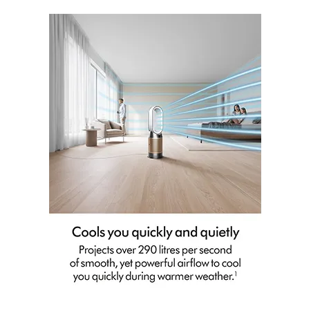 Dyson HP12 Purifier De-NOx - White/Gold