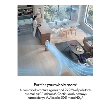Dyson HP12 Purifier De-NOx - White/Gold