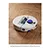 Dyson R1NUROVI R1 nurovi dry - Silver & Vinca Blue