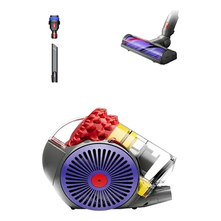 Dyson BIGBALL Big Ball