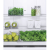 Fisher and Paykel RF522BRPUX7 Freestanding Fridge Freezer - Stainless Steel