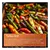 Hotpoint HO255HXUK 59.5cm Built In Electric Single Oven - Stainless Steel