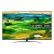 LG 65QNED816QA 65" 4K QNED Smart TV )  New 2022 