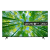 LG 75UQ80006LB 75 Inch 4K Smart UHD TV