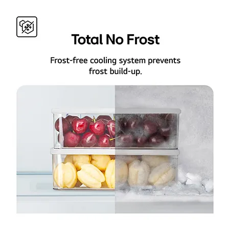 LG GBBSJ10DPY 59.5cm  Total No Frost Fridge Freezer - Prime Silver