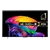 LG OLED42C66LB 42" 4K OLED evo AI Smart TV