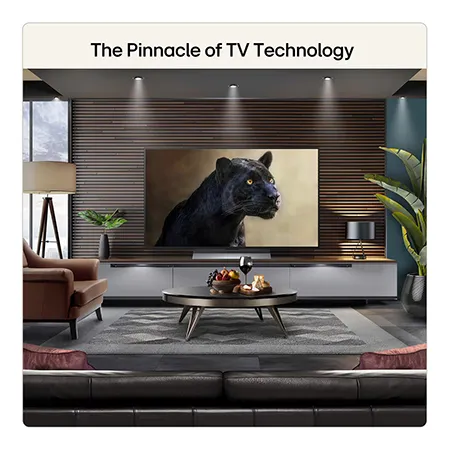 LG OLED48G66LS 48" 4K OLED evo AI Stand version Smart TV