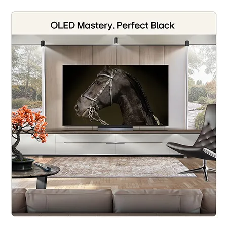 LG OLED55C66LB 55" 4K OLED evo AI Smart TV