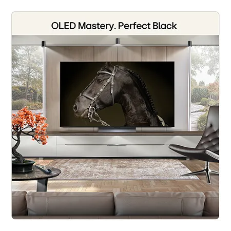LG OLED65C66LB 65" 4K OLED evo AI Smart TV