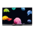 LG OLED65E6V 65" Smart UHD 4K 3D OLED HDR TV with Soundbar Stand Picture on Glass - webOS3 & Freesat