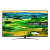 LG 65QNED816QA 65" 4K QNED Smart TV )  New 2022 