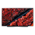 LG OLED77C9PLA 77" Ultra HD 4K OLED TV Black with Freeview