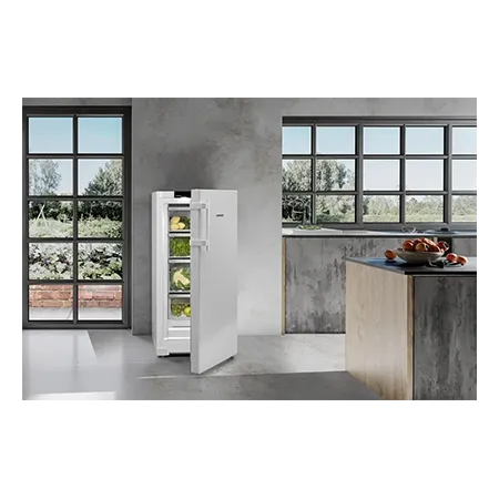 Liebherr RBa425iSD0 Larder Fridge with BioFresh - White