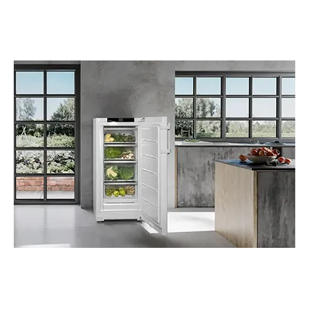 Liebherr RBa425iSD0 Larder Fridge with BioFresh - White