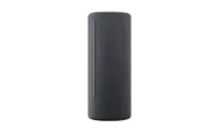 Loewe 60702D10 Portable Speaker-Storm grey 