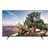Metz 50MRD6000ZUK 50" DLED UHD Smart TV