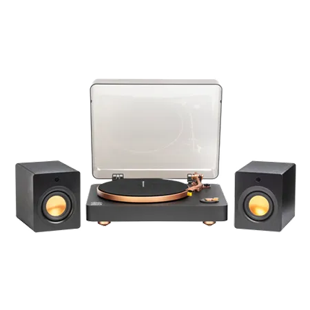 Mitchell Acoustics USTREAMGROOVE Turntable with Speakers - Black