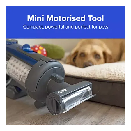Numatic 916634 Quick Pet Vacuum Cleaner - Blue