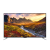 Panasonic TX55C320B 55" Full HD LED TV Black with Freeview