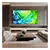 SAMSUNG QE100QN80H 100" Neo QLED Vision AI Smart TV