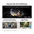 SAMSUNG QE48S85H 48" OLED Vision AI Smart TV