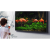 SAMSUNG QE55LST7TC 55" 4K HDR Smart Outdoor TV 