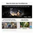 SAMSUNG QE55S85H 55" OLED Vision AI Smart TV