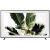 SAMSUNG QE65LS03R 65" Smart UHD 4K QLED TV - Frame 3.0 TV.Ex-Display Model