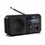 SHARP DR-P420BK Wireless DAB Radio - Black