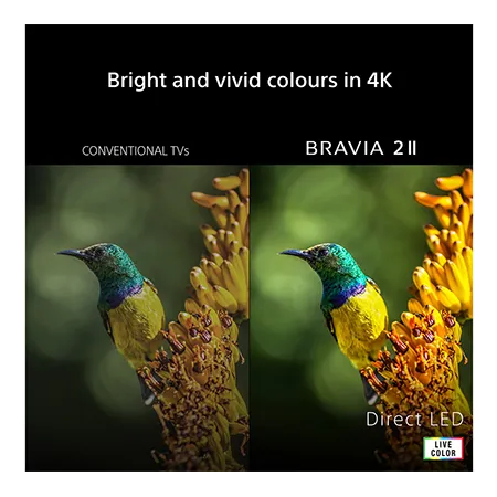 SONY K55S25M2PB 55" 4K BRAVIA 2 II Direct LED Google TV