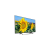 SONY KD43XF8096BU 43" Smart Android 4K HDR LED TV with Youview and Built-in Wi-Fi.Ex-Display Model