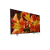 SONY KD49XF8505BU 49" Smart Android 4K HDR LED TV with Youview and Built-in Wi-Fi. Ex-Display Model