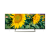 SONY KD55XF8096BU 55" Smart Android 4K HDR LED TV with Youview and Built-in Wi-Fi