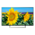 SONY KD43XF8096BU 43" Smart Android 4K HDR LED TV with Youview and Built-in Wi-Fi.Ex-Display Model