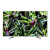 SONY KD43XG7073SU 43" Ultra HD 4K LED TV Silver with Freeview.Ex-Display Model