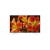 SONY KD49XF8505BU 49" Smart Android 4K HDR LED TV with Youview and Built-in Wi-Fi. Ex-Display Model