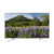 SONY KD55XF7073SU 55" Smart 4K HDR LED TV with Youview and Built-in Wi-Fi