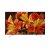 SONY KD55XF8505BU 55" Smart Android 4K HDR LED TV with Youview and Built-in Wi-Fi. Ex-Display Model