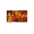 SONY KD55XF8577SU 55" Smart Android 4K HDR LED TV with Youview and Built-in Wi-Fi